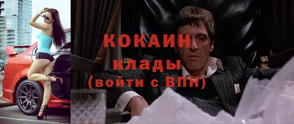 дживик Краснослободск