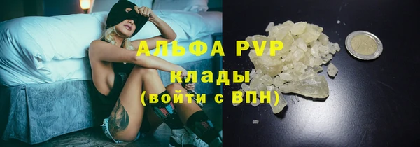 дживик Краснослободск