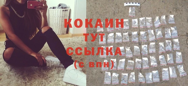 дживик Краснослободск