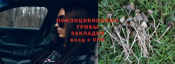 дживик Краснослободск